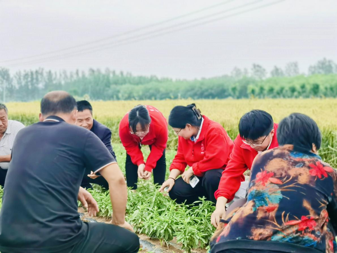 比完這一場，我對“進村讀研”有了新思路