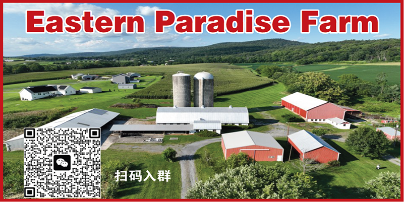 播種希望，收穫成長——希望中文學校開學在即，校區介紹（1）