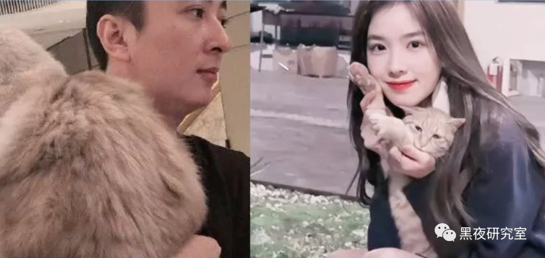 思聰恐被健林排斥接班無望？只想泡妞交配當舔狗的下場！
