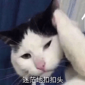 小米Su7Ultra，中年人最後的瘋狂