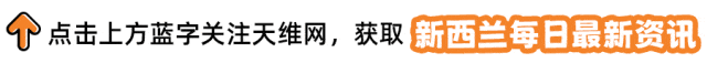 影片曝光！紐西蘭19歲男孩遭大白鯊“死亡跟隨”！4分鐘絕命逃生！NZ海域70類鯊魚，該如何防範？專家提醒……