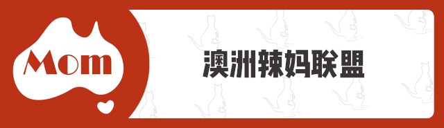 花了2萬澳元！墨爾本東區公園裝了這個，居民怒了
