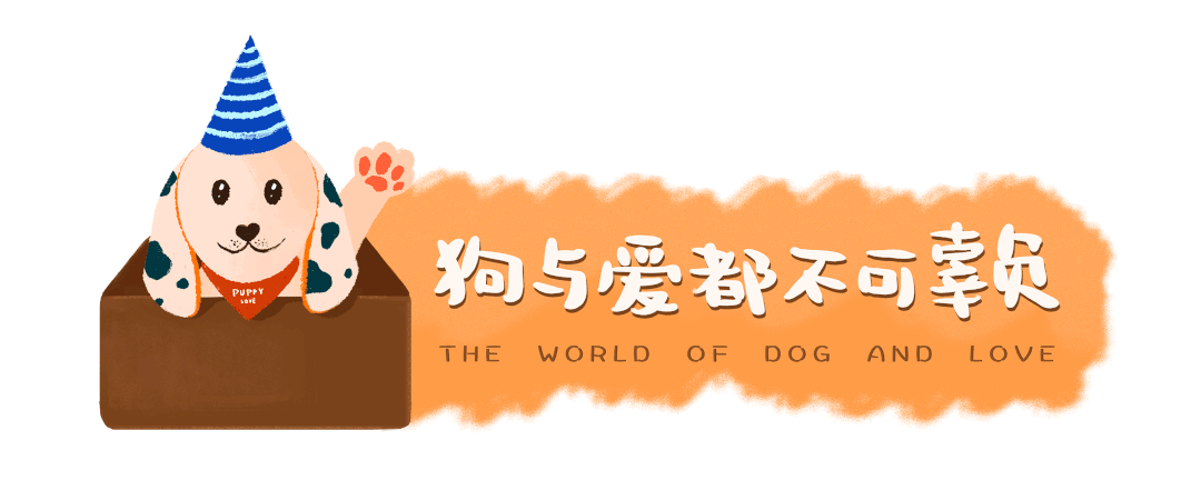 4只警犬被通報批評：上班死氣沉沉，下班活力四射…網友笑瘋：這不是我嘛