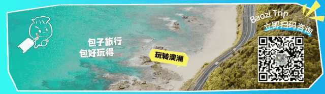 澳洲國民雪糕遭吐槽，加拿大博主：什麼玩意兒？難吃！網友吵翻