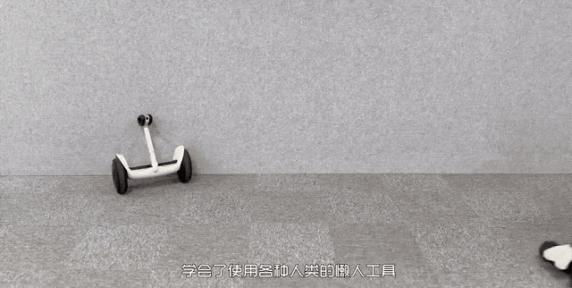 「鋼鐵俠」稚暉君再發新品，騎腳踏車、踩滑板車、跳科目三，這個國產新機器人成精了