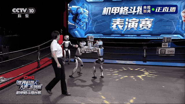剛剛，全球首個機器人拳王出爐！互毆現場比馬拉松還抓馬，笑瘋了