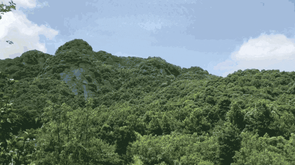 桃你開心，遇見即心動