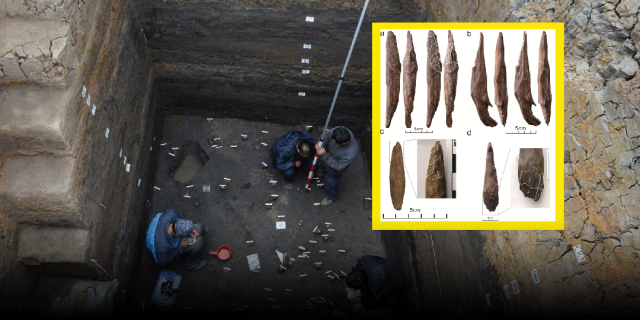 300，000-Year-OldToolsinChinaShowEarlyHumansDugforPlants