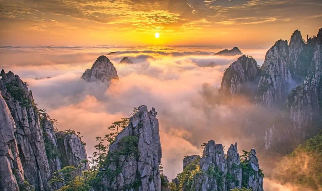 8天7晚丨北美攝影協會——黃山攝影採風團丨4/3-9/2025