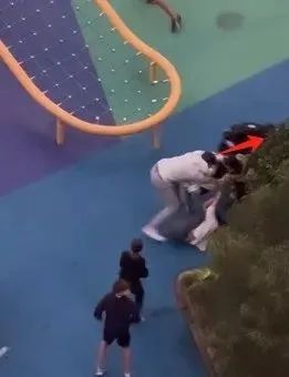 擴散！鬧大了！中國夫婦悉尼遭8名青少年暴打！萬名華人憤怒請願，太喪心病狂了….