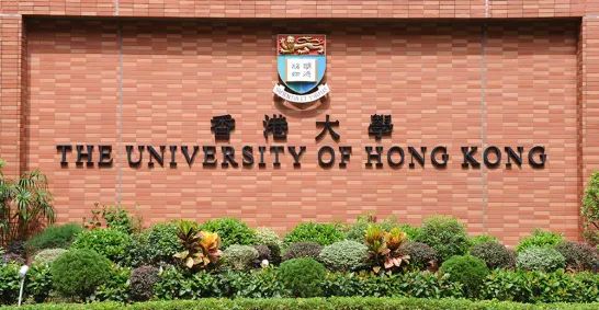 港大申請戰況焦灼，最近又有新資料放出？