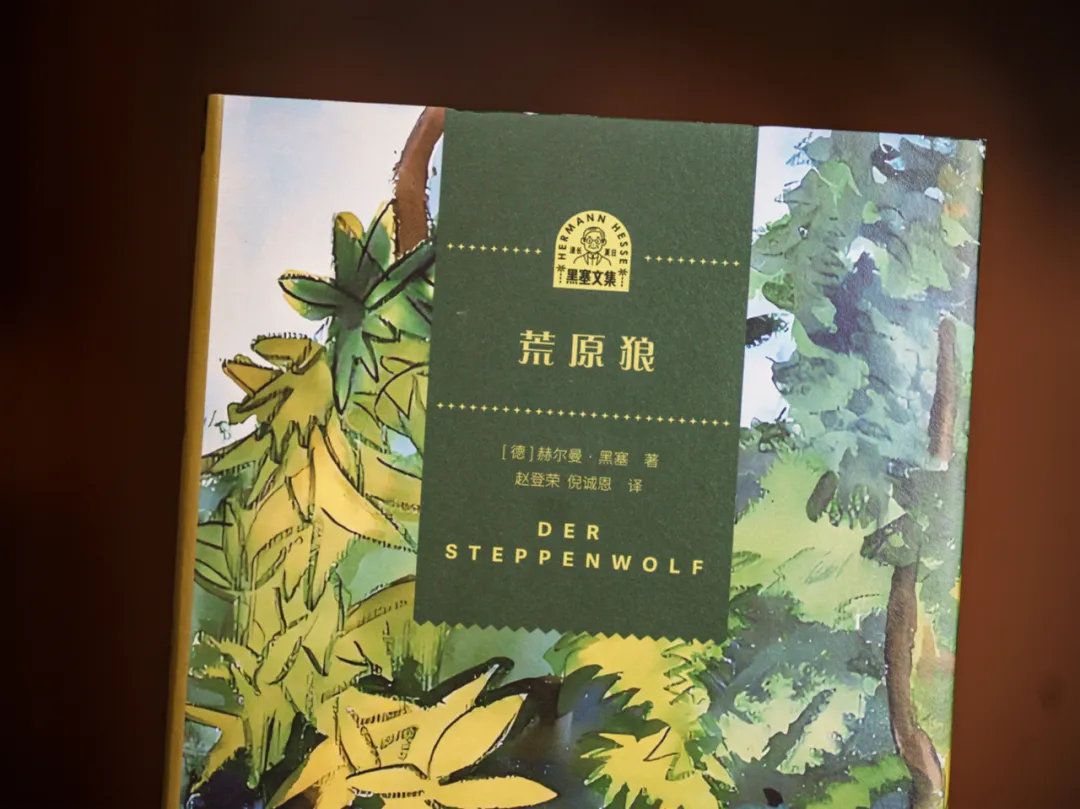 15歲進精神病院，70歲獲諾獎，崩潰無數次的他，卻治癒億萬人內耗