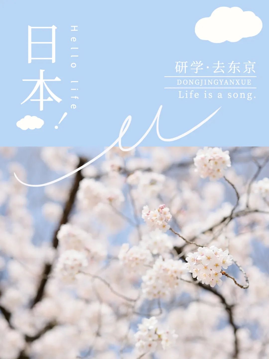 央媽，怎麼辦？