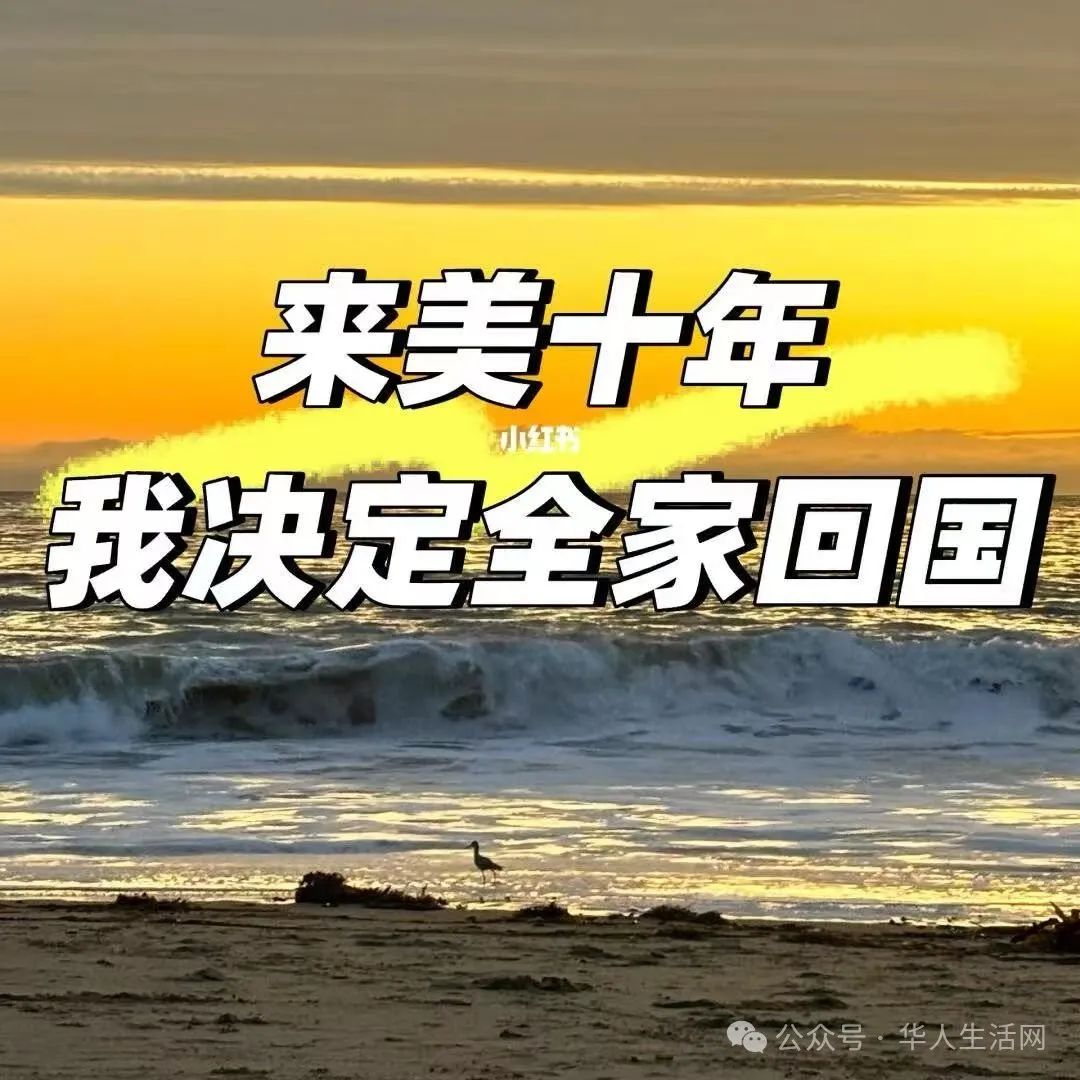 既不像中國人，也不被當做美國人！來美10年，曝攜女兒回國真相，引發共鳴