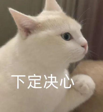 富士X100vi簡直是賽博彩票
