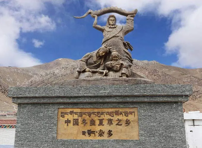 蟲草這場“騙局”，只有中國人才懂