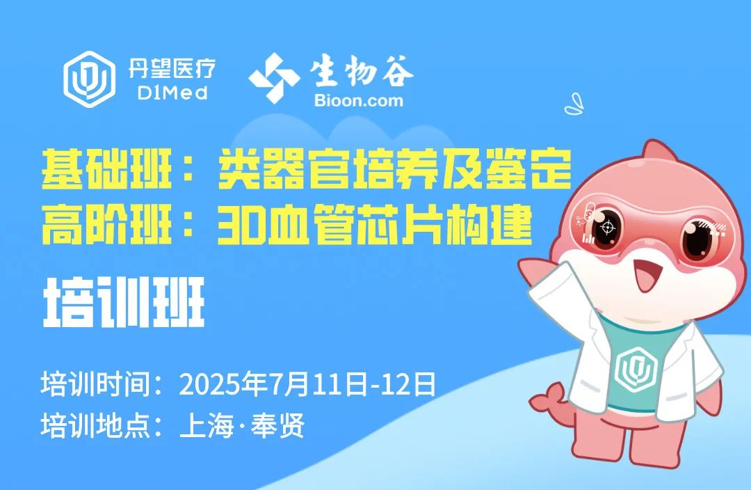 雙主題培訓班|類器官培養+3D血管晶片構建：雙軌賦能，助您7月科研加速！
