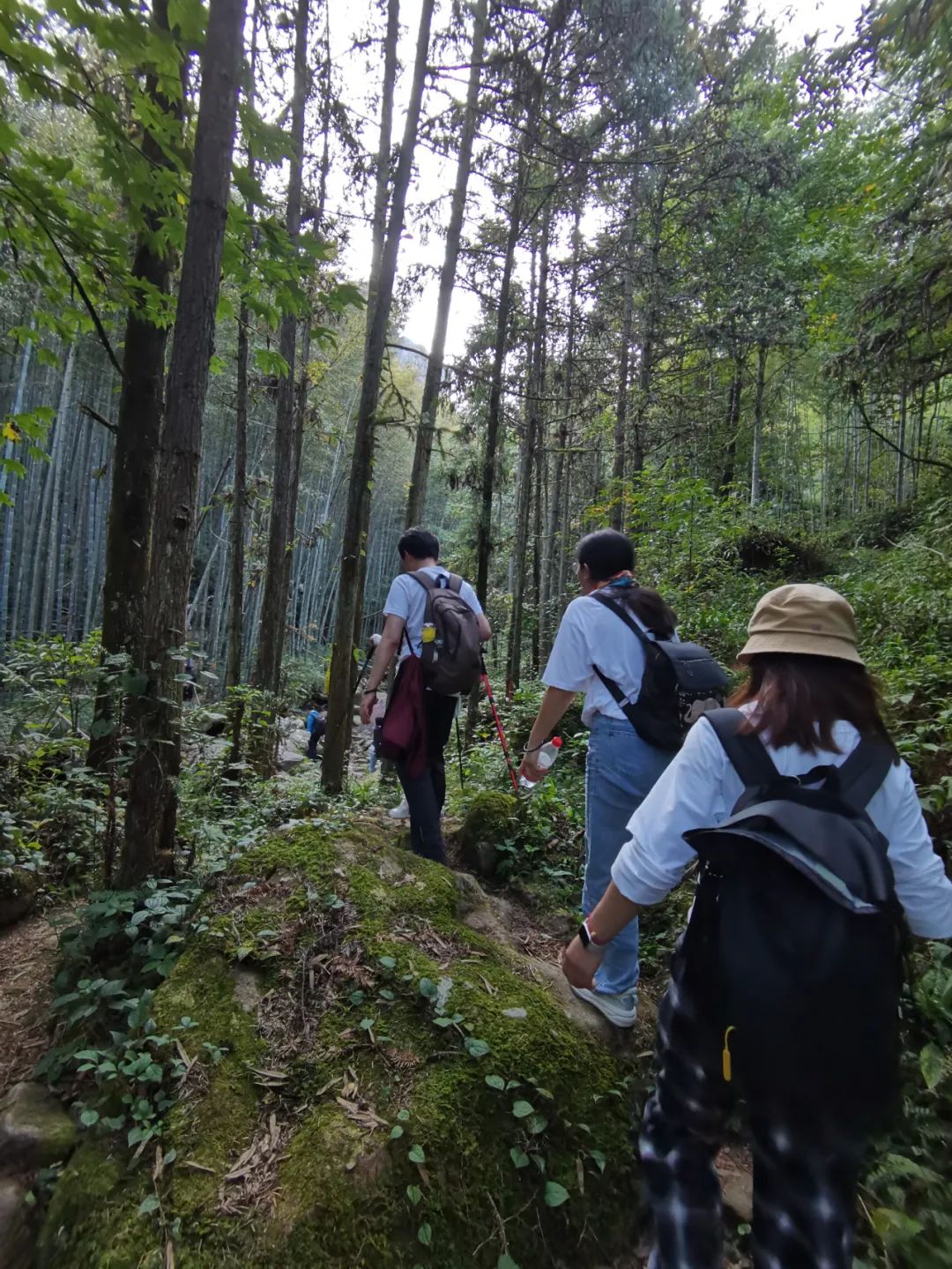深山老林，一流大學校友們扎堆，原來是為了這件大事！