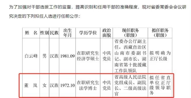 博士女廳官五年內兩次被舉報論文抄襲，期間被提拔為省高院副院長