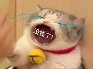 95％的留學生都踩過的租房坑…我也沒逃過