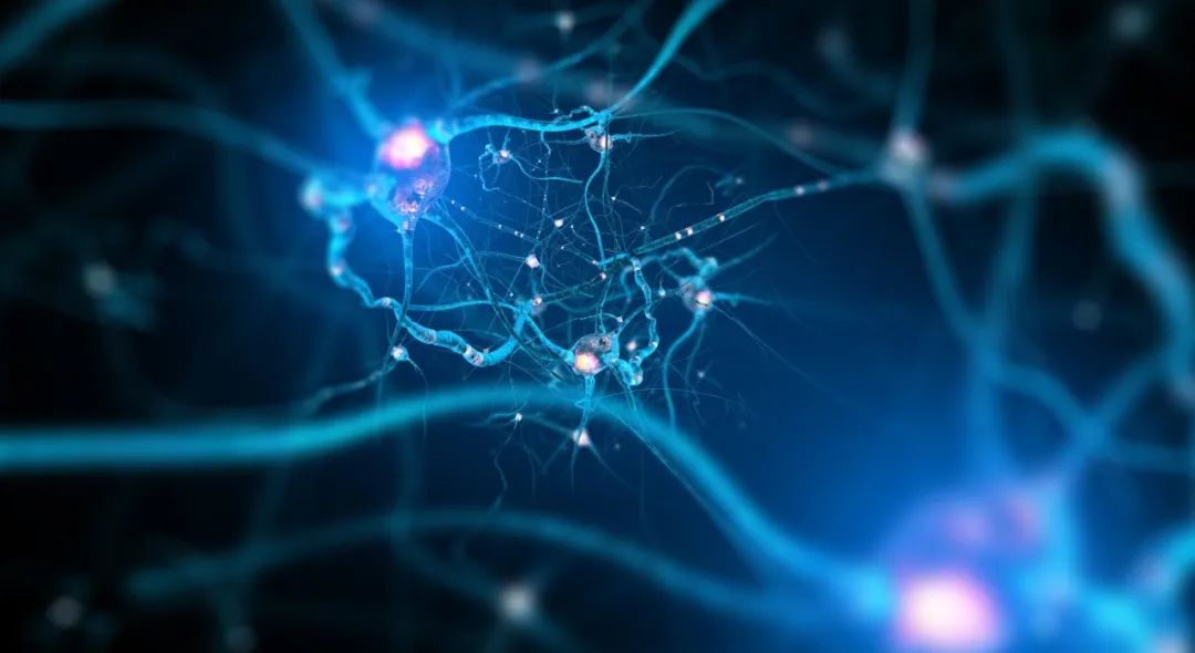 Nature子刊：香港科技大學瞿佳男團隊開發活體高分辨大腦成像新技術