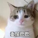 GPA3.6+，無bigname實習，斬獲MITMFin錄取！學長一路打怪，居然是靠….