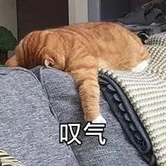 大無語！加拿大又一巨頭撐不下去！北美400家門店關閉！