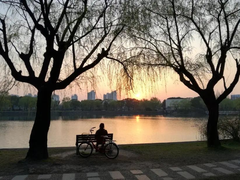 大學之變