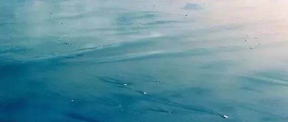 看著吧，撐不了多久的