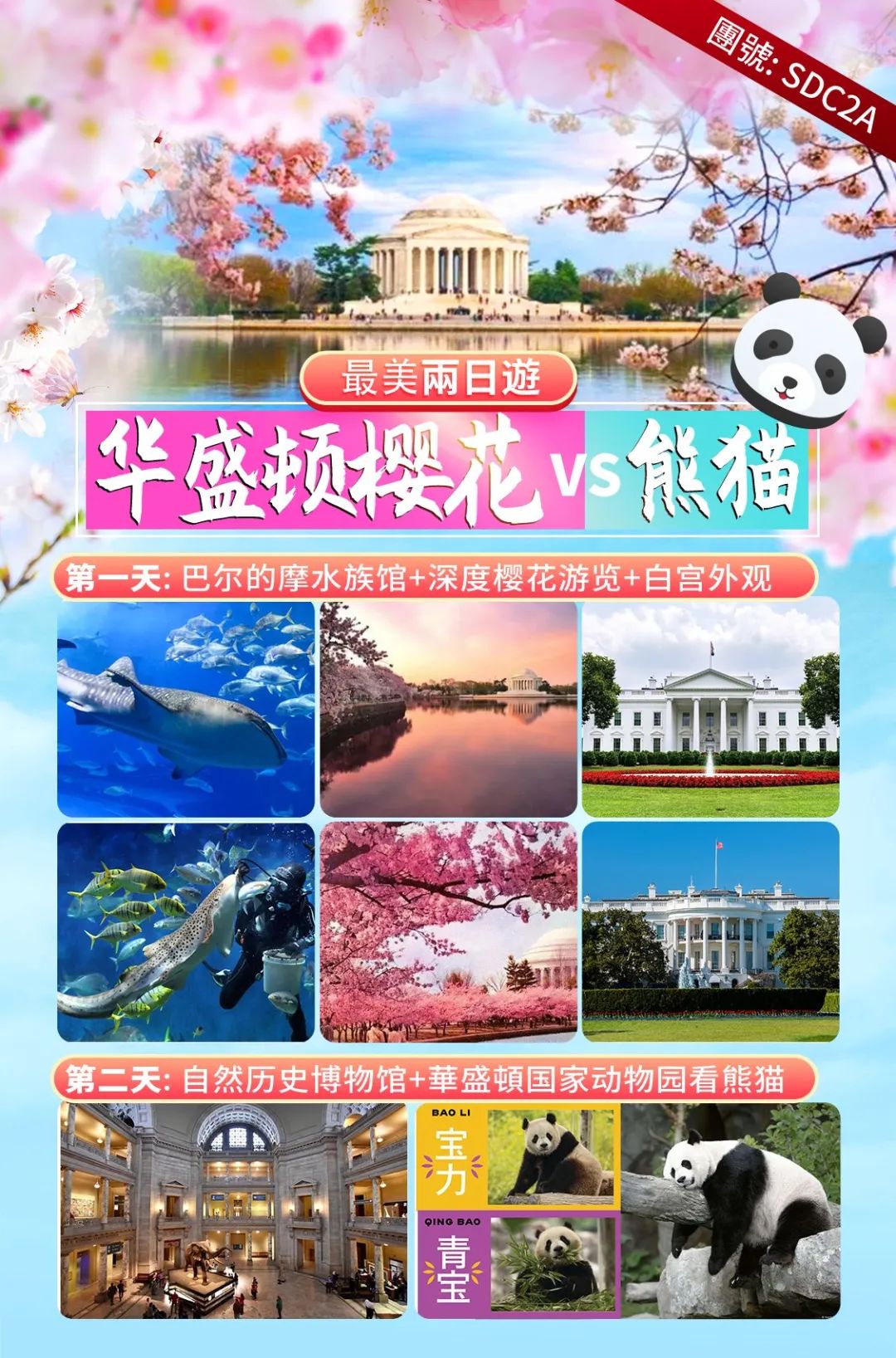 【酷玩兩日】從海洋到櫻花，從歷史到熊貓，開啟華盛頓的奇妙之旅，這次不要錯過哦！