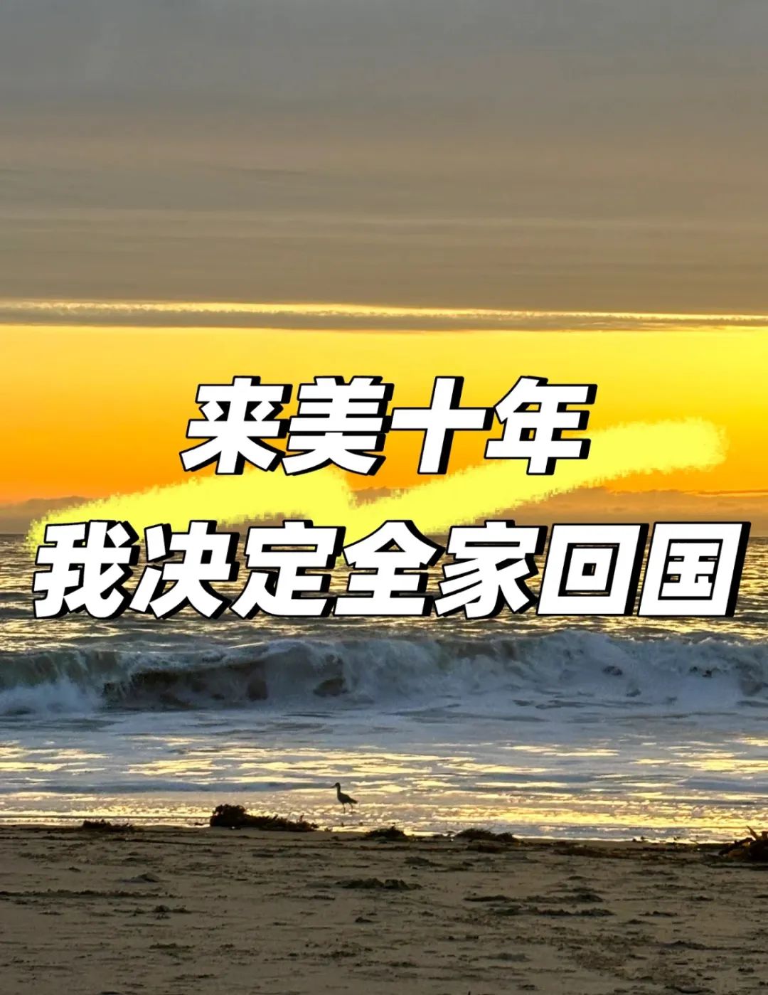 來美十年！華裔夫妻攜女回國真相！給出這5個理由…網友評論兩極分化
