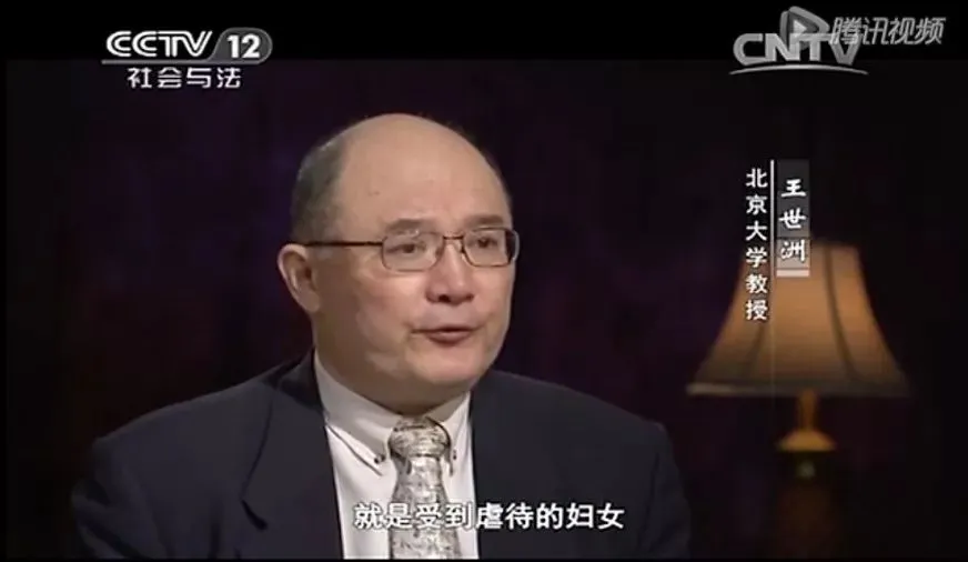 我也舉報一個學閥：北大法學教授王世洲