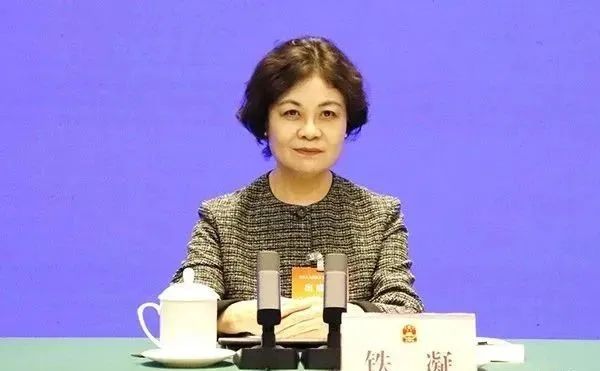 鐵凝談AI創作：文學的靈魂不可被演算法替代