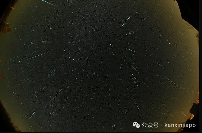 天琴座流星雨即將浪漫來襲！新加坡這些地方可看到