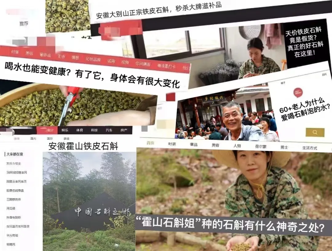 一次性把石斛講清楚（事關健康，鐵粉必看）！