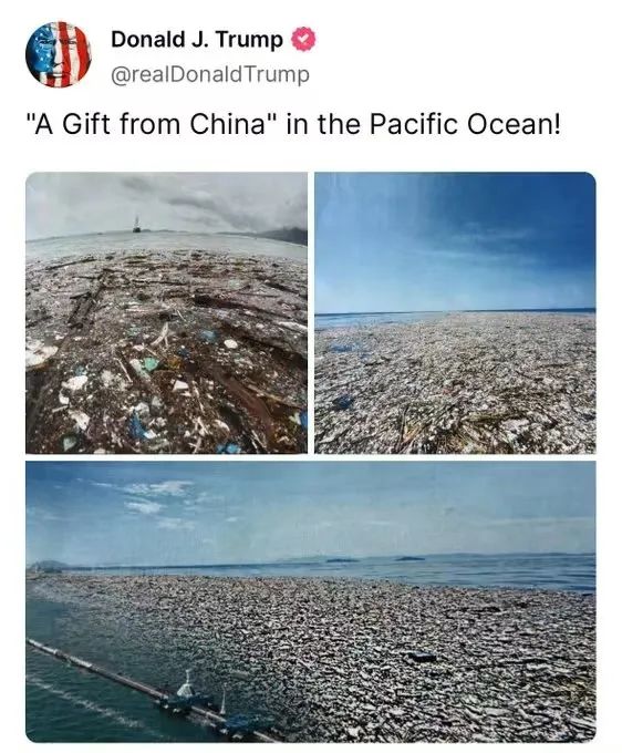這次被中國人抓個正著，白宮應當道歉！