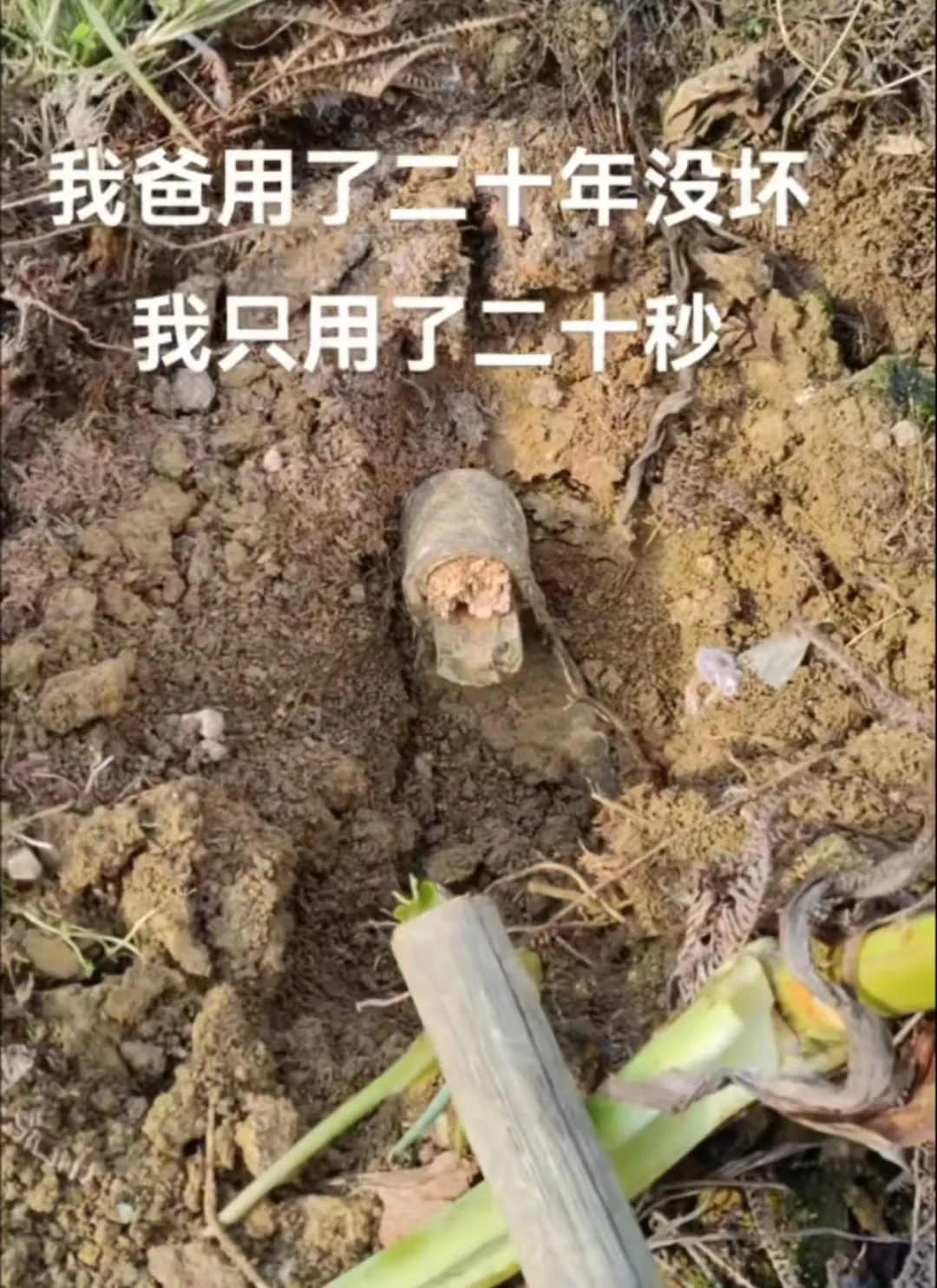 放假後的農村生活，算了，跟你們城裡人說不清