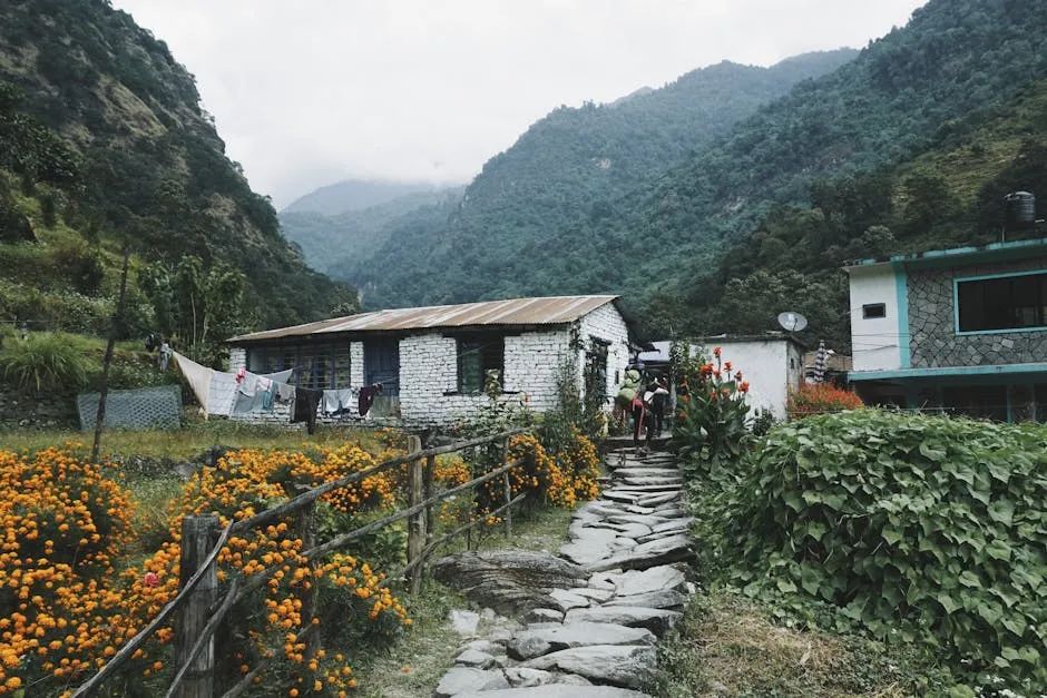 從院子到露營，全家一起走進自然