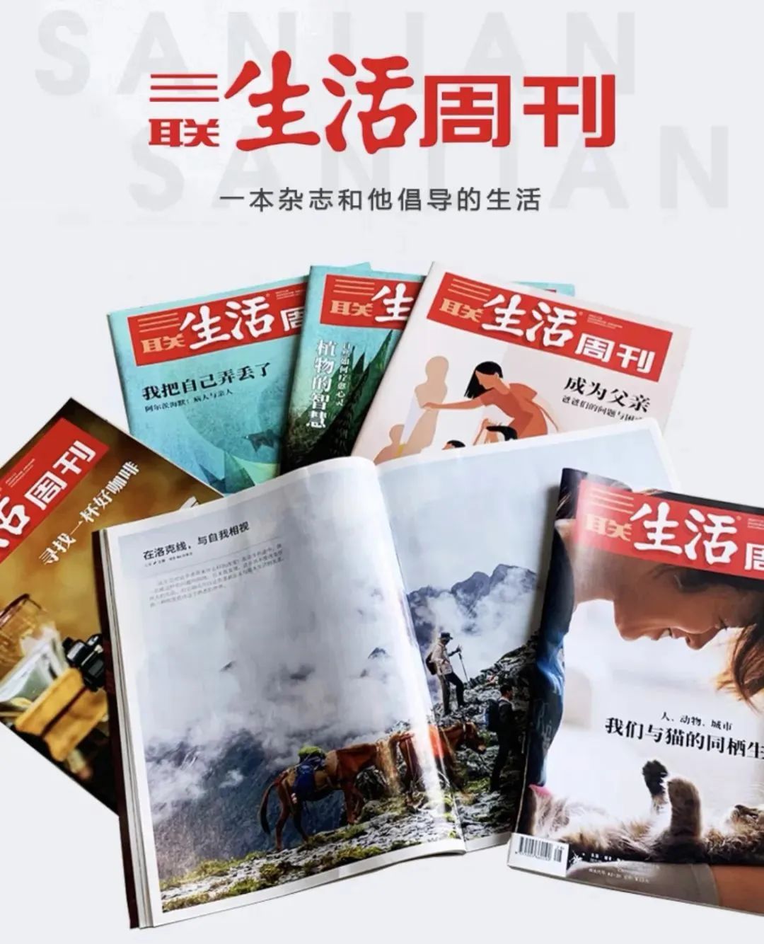 【薦】僅需半價！從婚姻到全球局勢，《三聯生活週刊》2025年訂閱，帶你洞察世事、豐富人生！