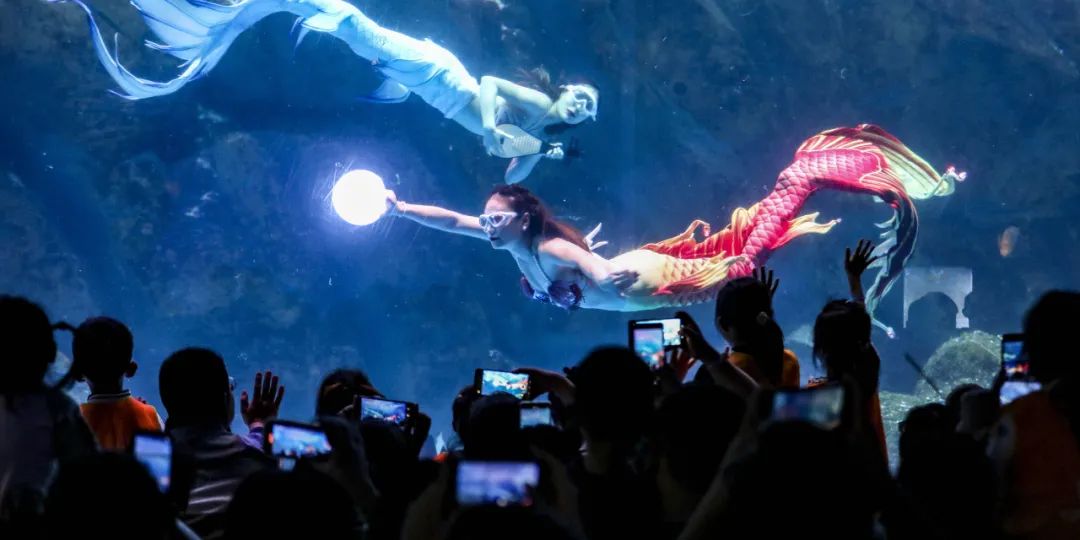 StingintheTail：Life’sNoFairyTaleforMermaidDancers