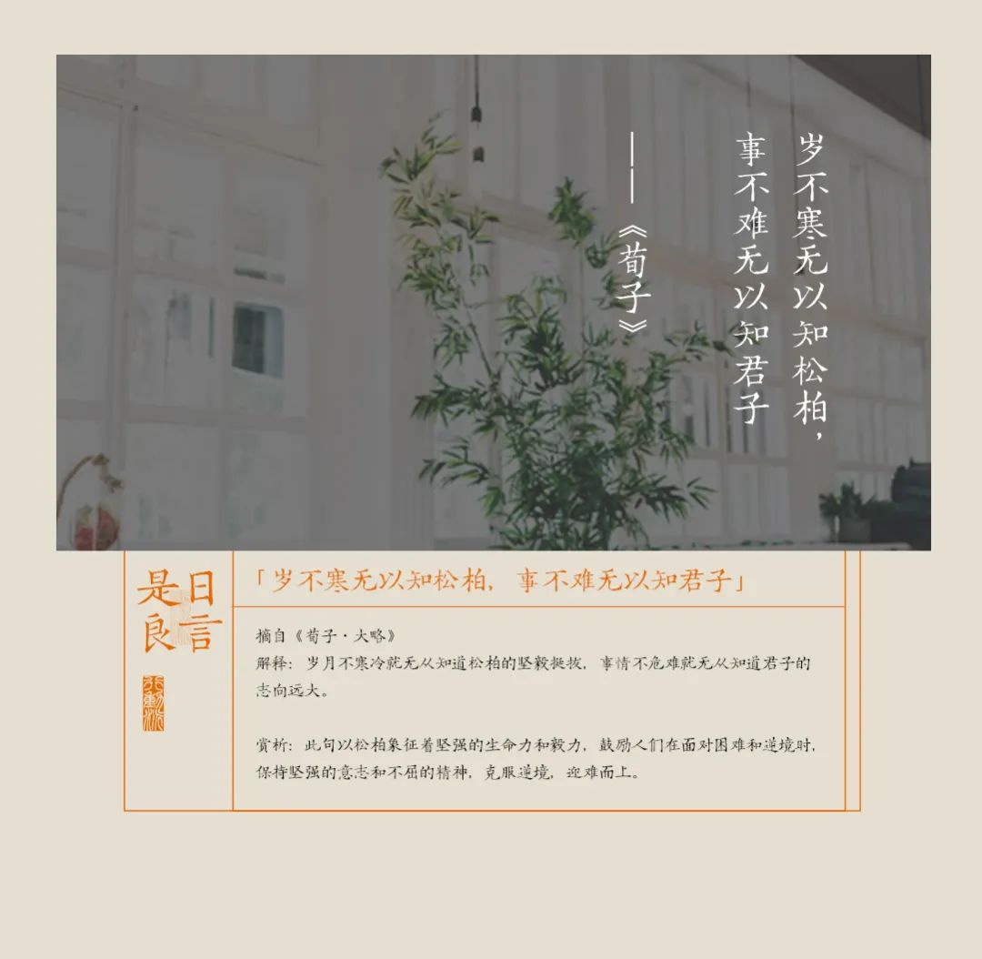 花光30萬積蓄後，失業的網際網路中年第五次轉行失敗