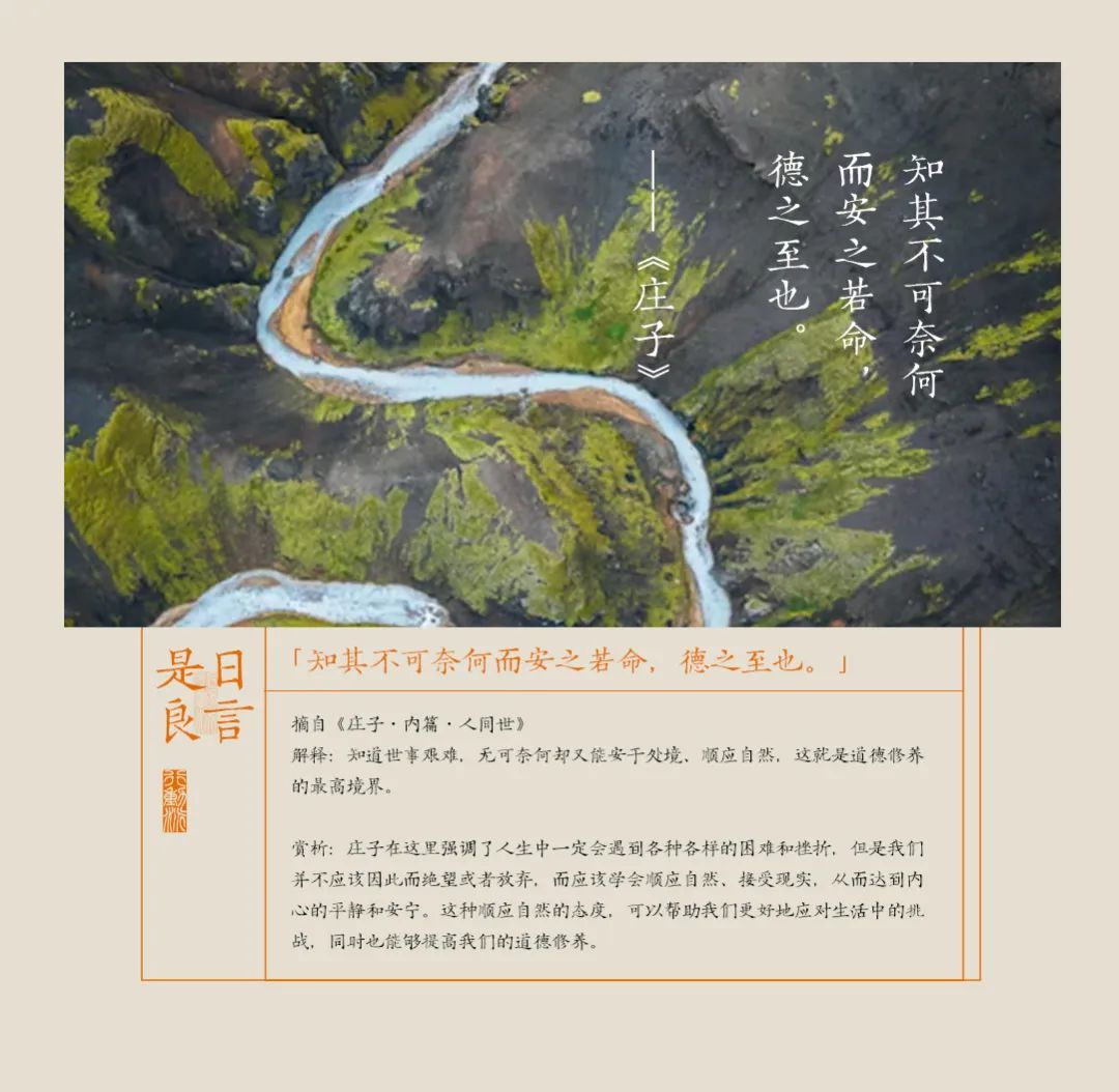 第一批把爸媽重養一遍的兒女，已經贏麻了