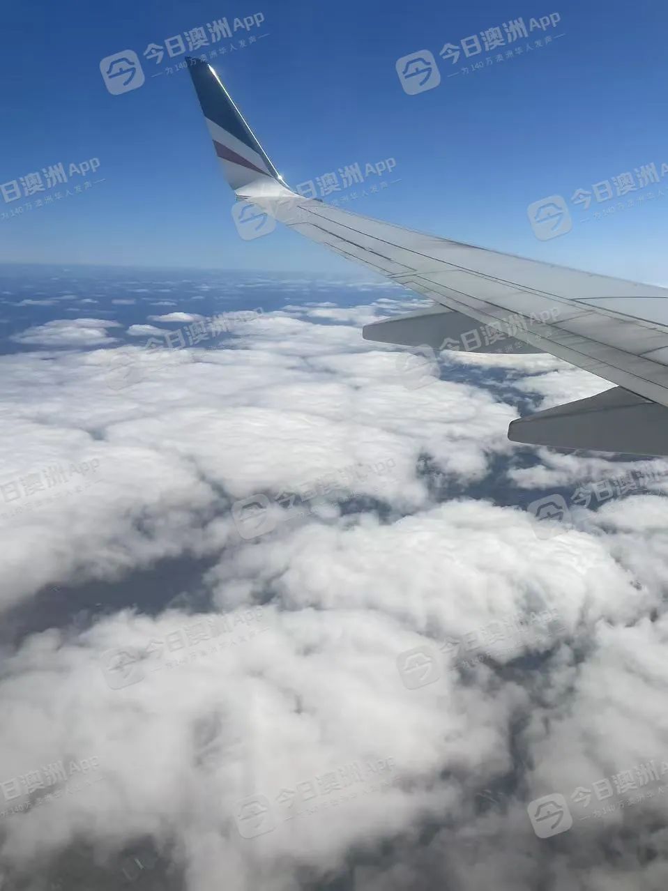 “假日旅行太奢侈！”澳洲華人復活節出遊降溫，“原地過節”成首選