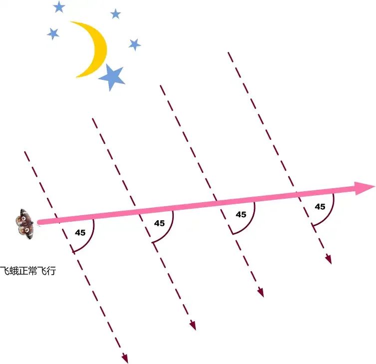 知乎高贊：為什麼昆蟲不會因為趨光性集體奔向太陽？