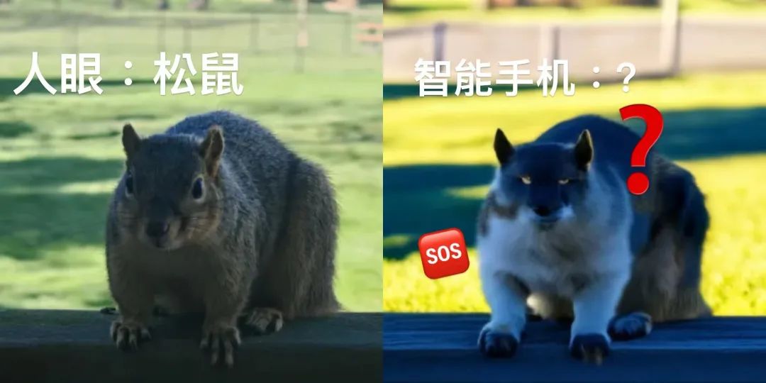 用手機拍的照片，其實是假的？AI會自動在照片上加什麼東西？？