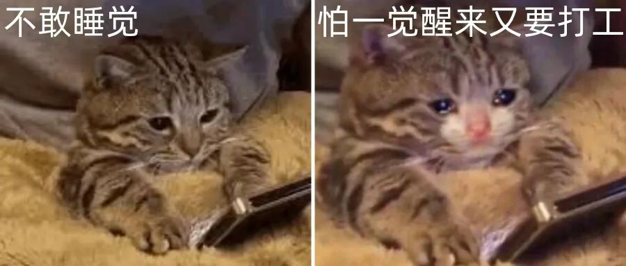 低收入+缺覺：又忙又窮，又困又肥，還容易早死….