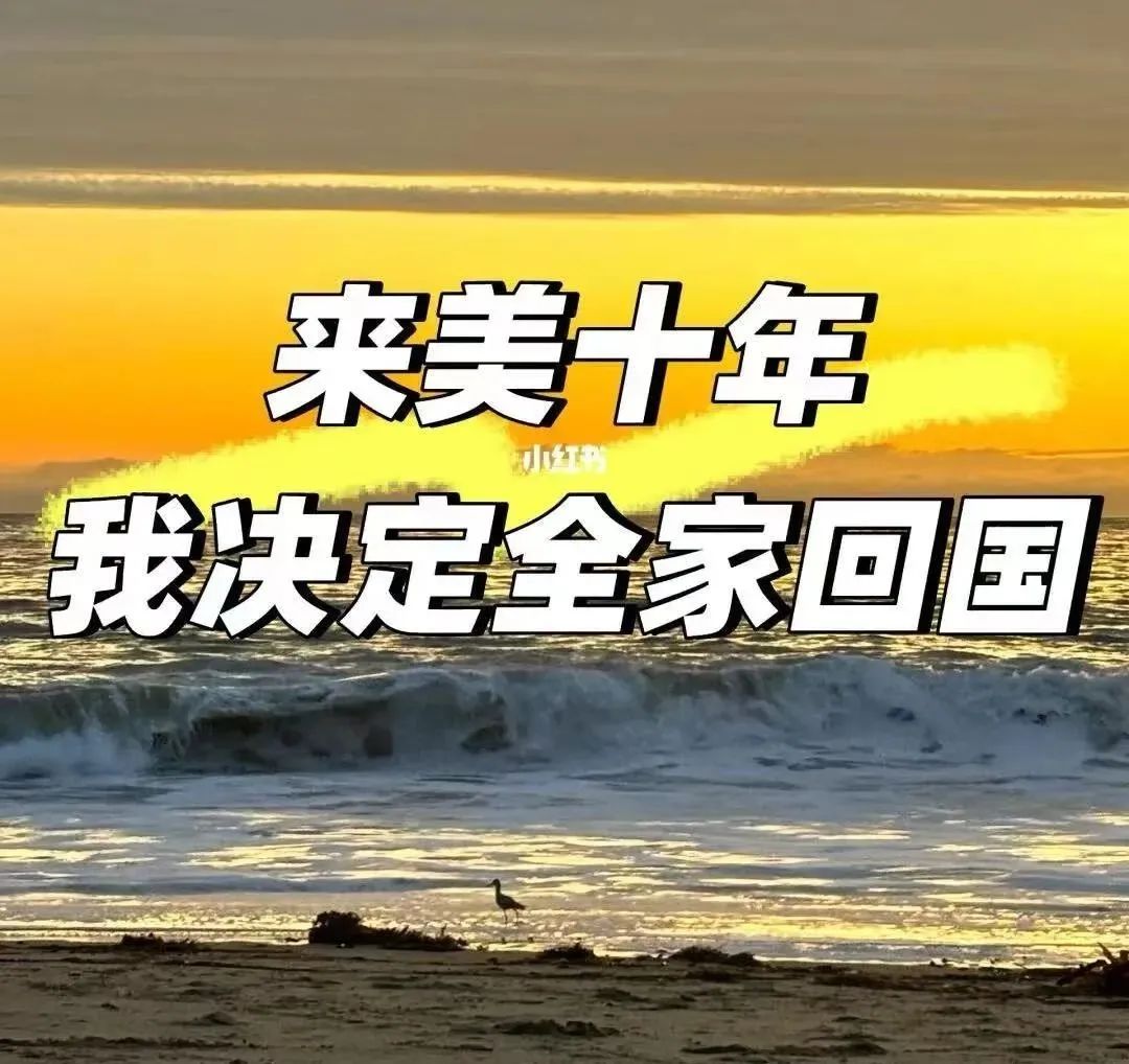 既不像中國人，也不被當做美國人，來美10年，華裔夫妻，曝攜女回國真相，引發共鳴