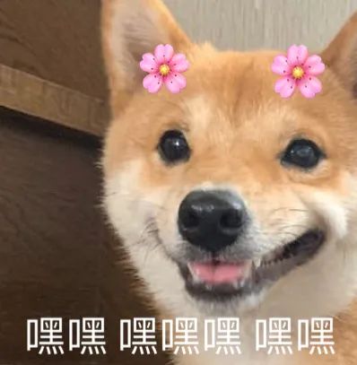 求求廠家做點廣告吧，不然誰知道你跟大牌一樣好用啊？