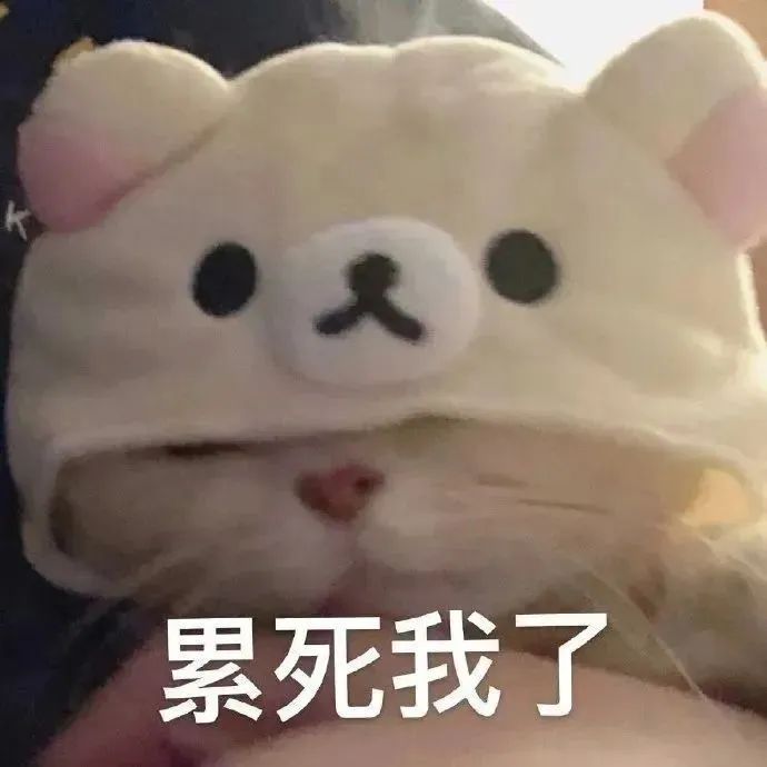 一想到姐妹們都在受這種苦，我真的忍不了了….
