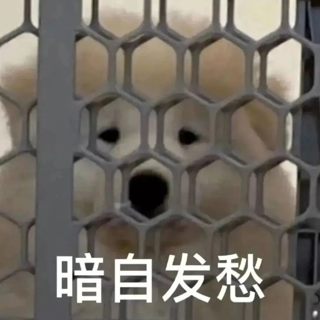 出門被誇氣色好真的很開心！看來女人還得是內調！